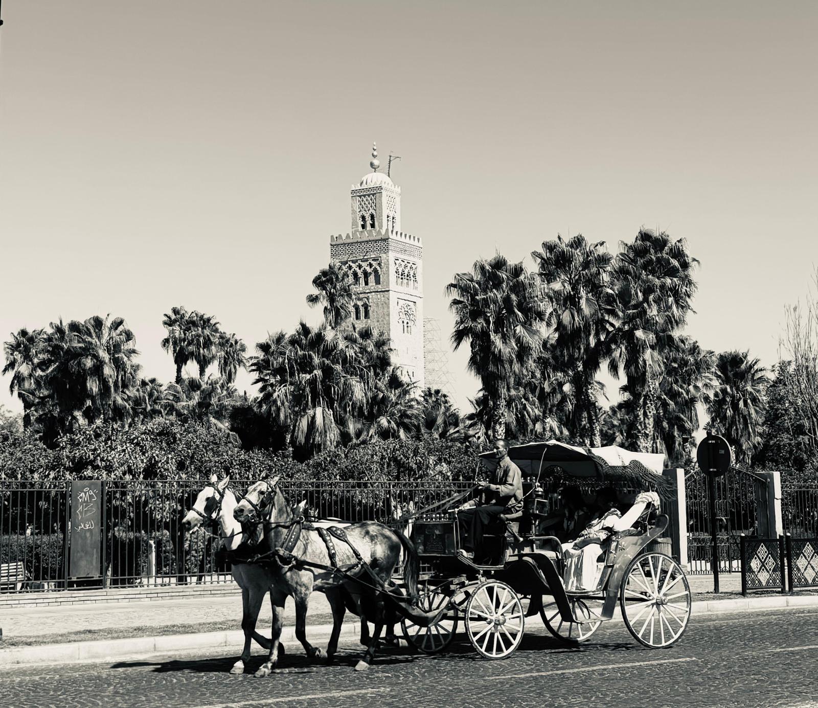 Balade romantique en calèche à Marrakech