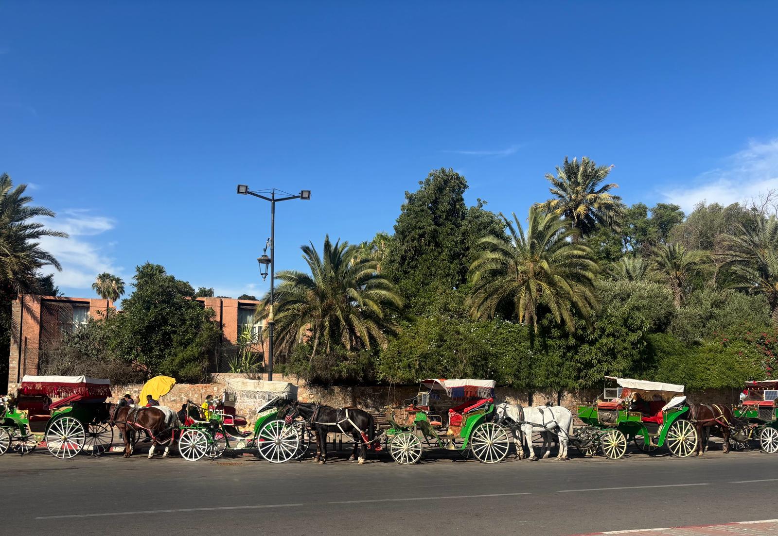 Cortège et événement en calèche à Marrakech