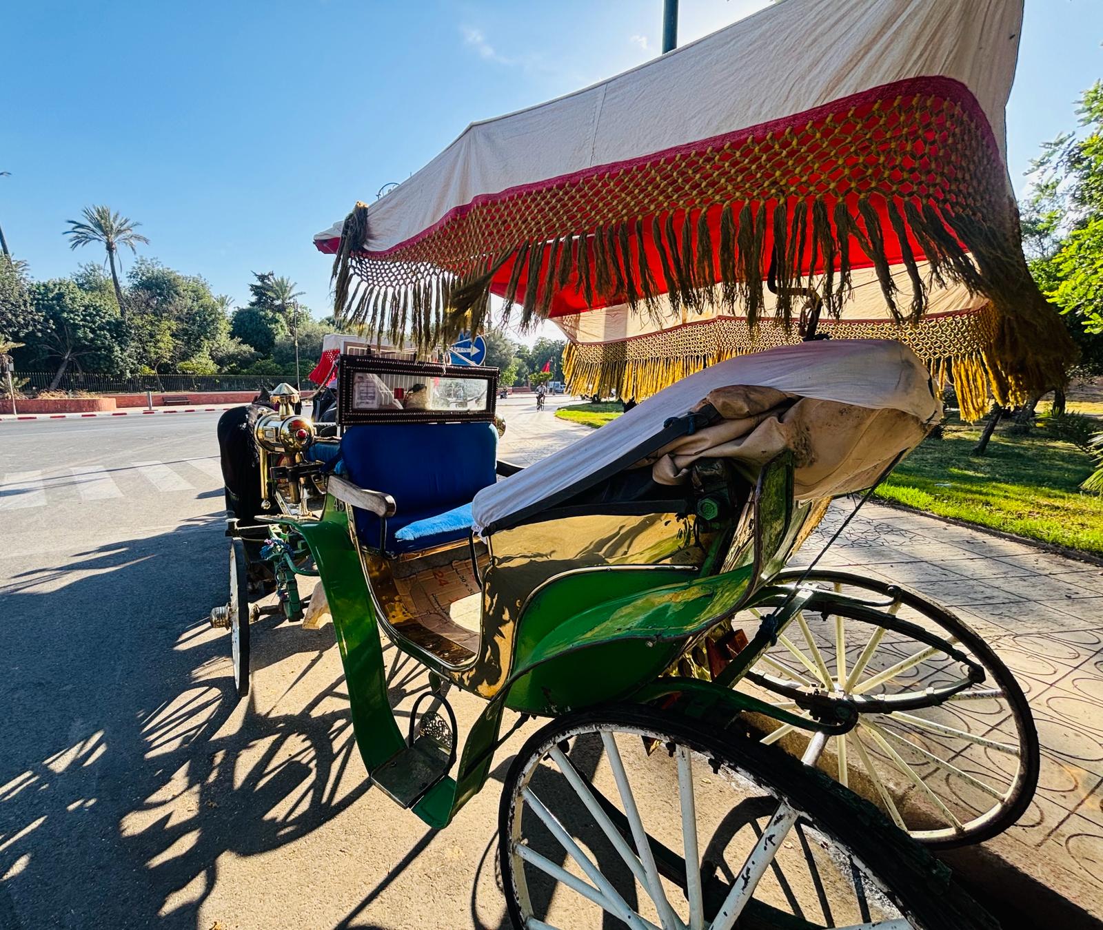 Visite et circuit découverte de Marrakech en calèche